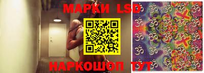 apvp Камышлов