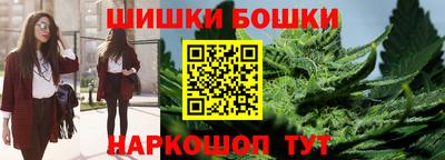 apvp Камышлов