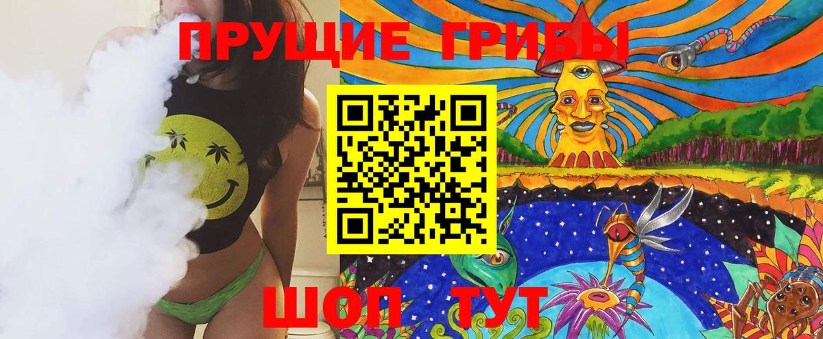 Галлюциногенные грибы Psilocybe Нерюнгри