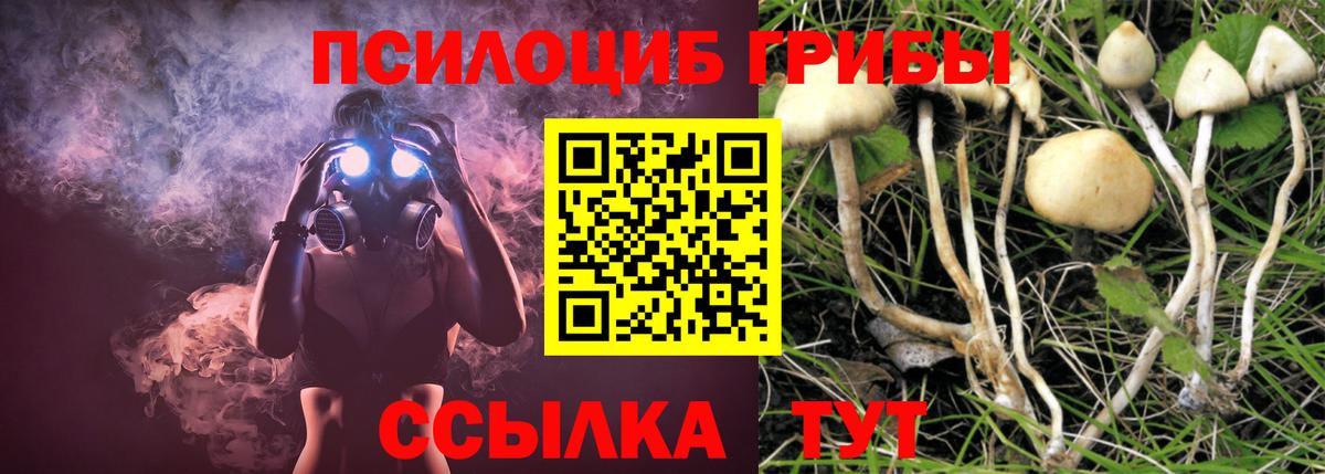 Нерюнгри  Псилоцибиновые грибы Psilocybe  Вход с VPN  Псилоцибиновые грибы Cubensis 